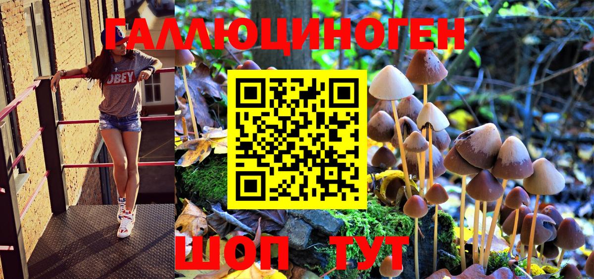 Псилоцибиновые грибы MAGIC MUSHROOMS Биробиджан